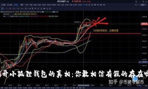 揭开小狐狸钱包的真相：你敢相信有假的存在吗？