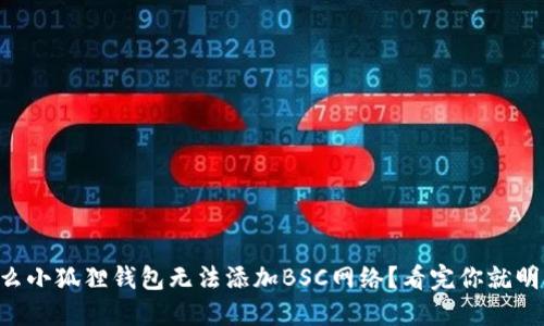 为什么小狐狸钱包无法添加BSC网络？看完你就明白了！