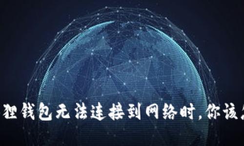 当小狐狸钱包无法连接到网络时，你该怎么办？
