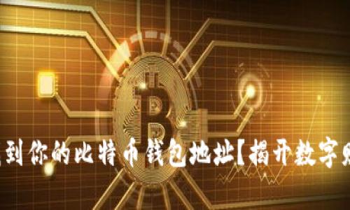 如何快速找到你的比特币钱包地址？揭开数字财富的奥秘！