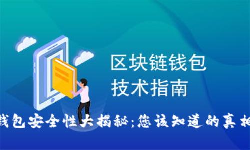 MetaMask钱包安全性大揭秘：您该知道的真相与防护技巧