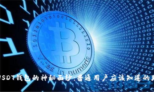 揭开USDT钱包的神秘面纱：普通用户应该知道的那些事