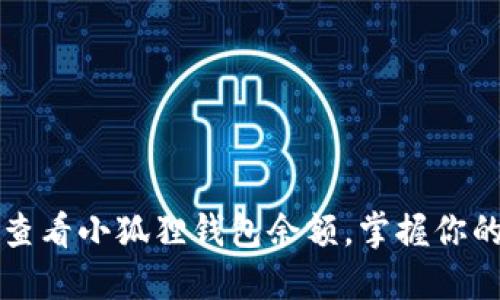 如何轻松查看小狐狸钱包余额，掌握你的数字资产