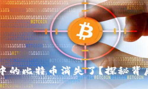 为什么小狐狸钱包中的比特币消失了？探秘背后的原因与解决方案