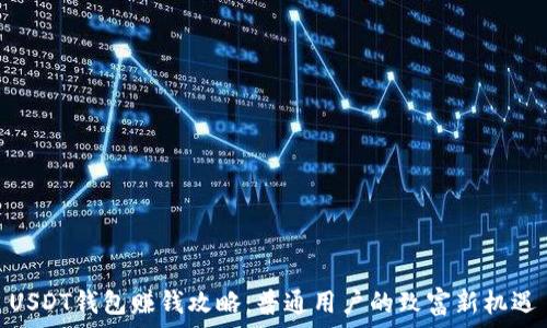   
USDT钱包赚钱攻略：普通用户的致富新机遇