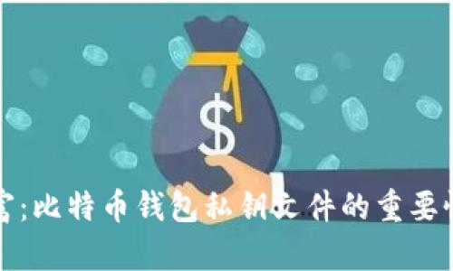 守护你的财富：比特币钱包私钥文件的重要性与安全策略