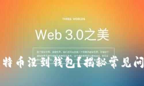 为什么我的比特币没到钱包？揭秘常见问题及解决方案