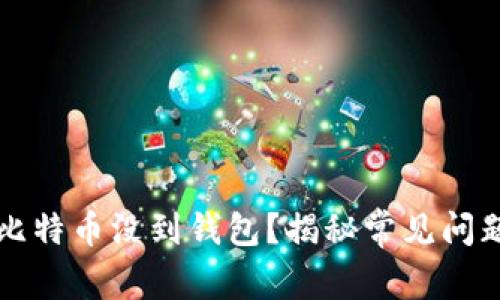 为什么我的比特币没到钱包？揭秘常见问题及解决方案