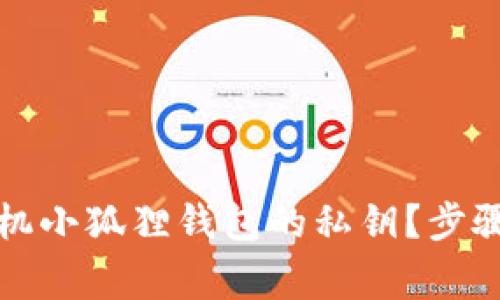 如何安全导出手机小狐狸钱包的私钥？步骤详解与注意事项