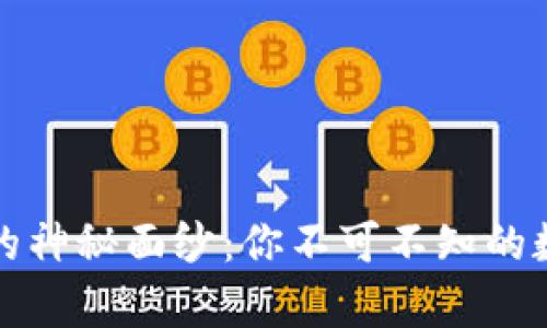 揭开比特币钱包的神秘面纱：你不可不知的数字资产保护宝库