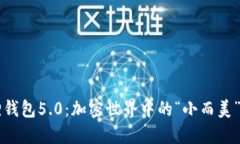 发现小狐狸钱包5.0：加密