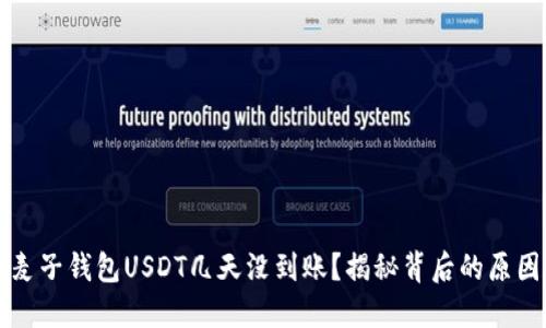 为什么你的麦子钱包USDT几天没到账？揭秘背后的原因与解决方案