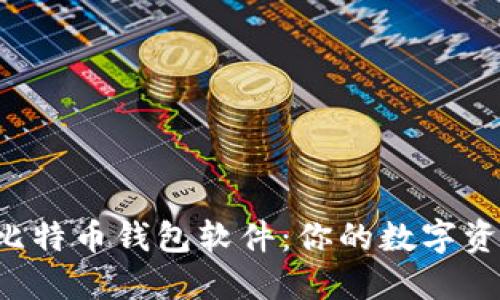 选择理想的比特币钱包软件：你的数字资产，值得呵护