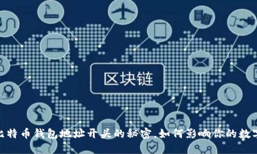 揭开谜底：比特币钱包地址开头的秘密，如何影响你的数字资产安全？