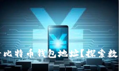 如何安全查看比特币钱包地址？探索数字货币的世界