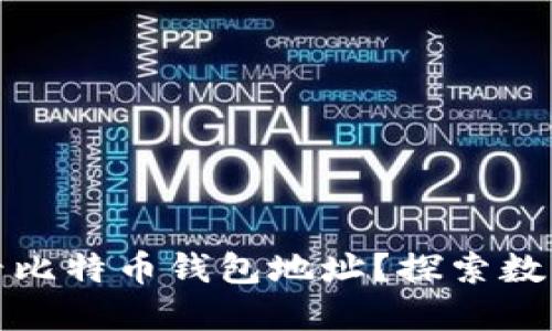 如何安全查看比特币钱包地址？探索数字货币的世界