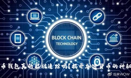 比特币钱包真的能被追踪吗？揭开加密货币的神秘面纱