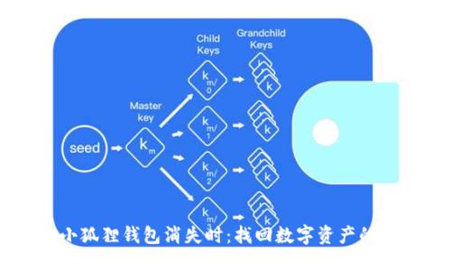 当你的小狐狸钱包消失时：找回数字资产的温暖指南