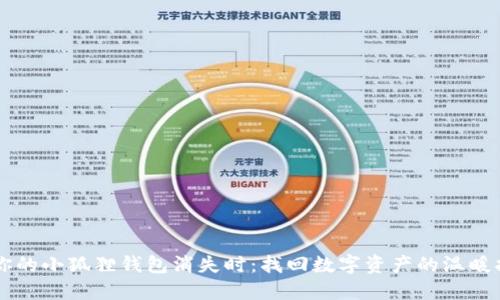 当你的小狐狸钱包消失时：找回数字资产的温暖指南