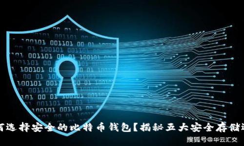 如何选择安全的比特币钱包？揭秘五大安全存储选项