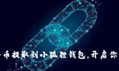 轻松指南：如何将币提取