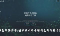 在数字钱包的海洋中：安