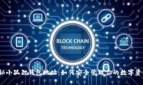 探秘小狐狸钱包地址：如何安全管理你的数字资产？