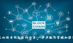 如何通过比特币钱包进行