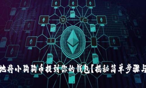 如何安全地将小狗狗币提到你的钱包？揭秘简单步骤与注意事项