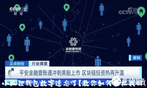 
小狐狸钱包数字遗忘了？教你如何轻松找回！