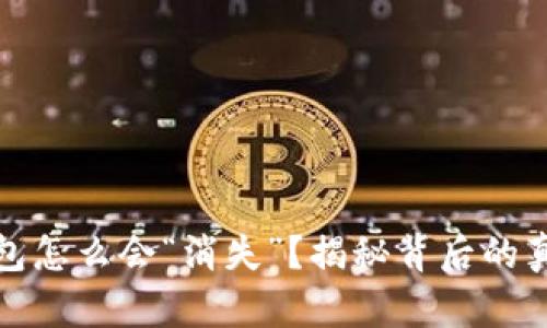 你的狗狗币钱包怎么会“消失”？揭秘背后的真相与解决方案