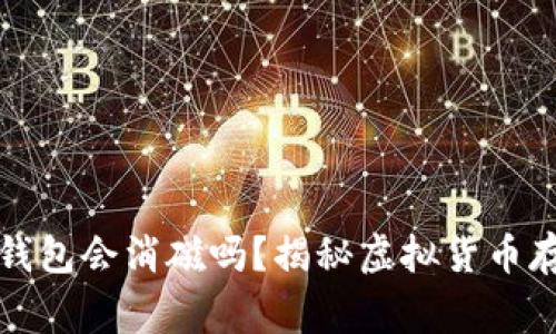 狗狗币放入钱包会消磁吗？揭秘虚拟货币存储的那些事