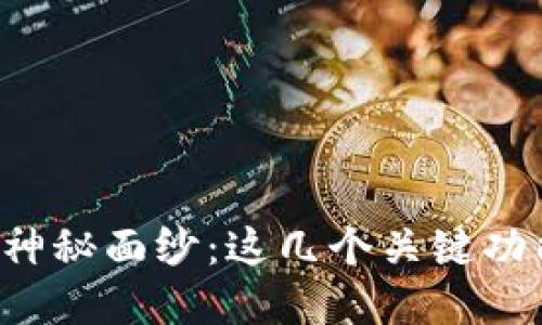 揭开比特币钱包的神秘面纱：这几个关键功能让你彻底了解它！
