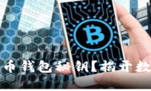 如何安全查看比特币钱包秘钥？揭开数字货币的神秘面纱