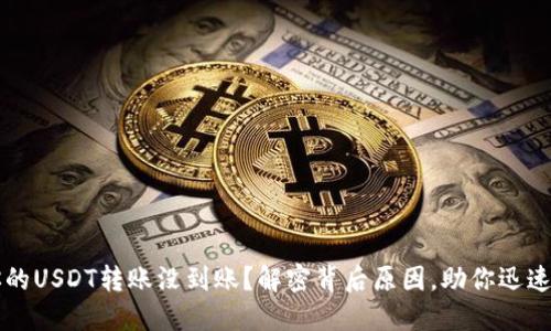 为什么你的USDT转账没到账？解密背后原因，助你迅速找回资产