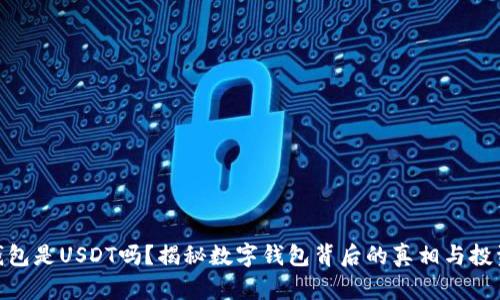 ubit钱包是USDT吗？揭秘数字钱包背后的真相与投资风险