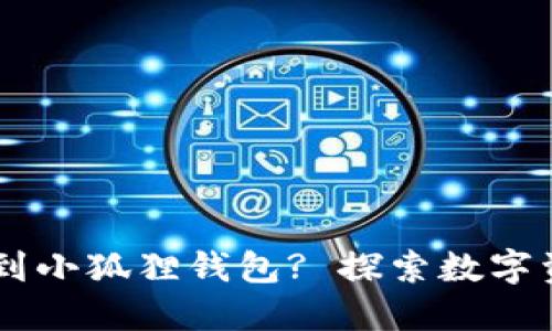 如何将SOL网络添加到小狐狸钱包? 探索数字资产管理的便捷之路！