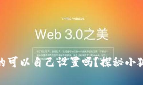 小狐狸钱包的密钥真的可以自己设置吗？探秘小狐狸钱包的安全与便捷