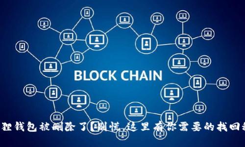 小狐狸钱包被删除了？别慌，这里有你需要的找回秘籍！
