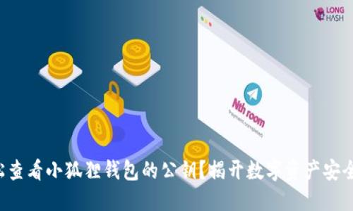 如何轻松查看小狐狸钱包的公钥？揭开数字资产安全的秘密！