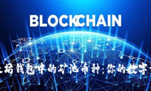 探索以太坊钱包中的矿池币种：你的数字资产新知
