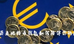 与时间赛跑：历来比特币