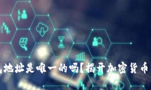 狗狗币钱包地址是唯一的吗？揭开加密货币的一些秘密