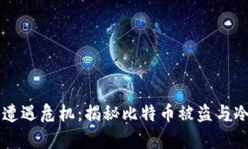 当数字财富遭遇危机：揭秘比特币被盗与冷钱包的真相