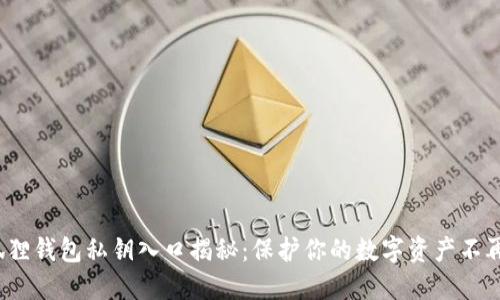 : 小狐狸钱包私钥入口揭秘：保护你的数字资产不再困难！