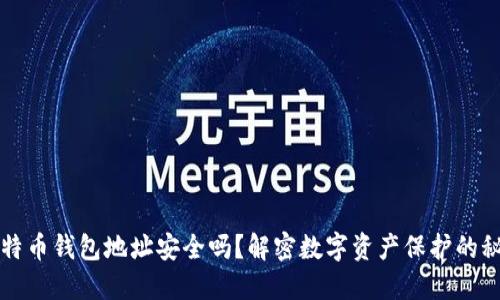 比特币钱包地址安全吗？解密数字资产保护的秘密