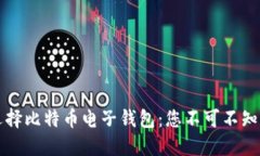 如何安全选择比特币电子