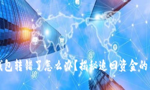 小狐狸钱包转错了怎么办？揭秘追回资金的有效方法
