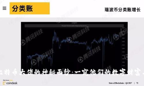 揭开比特币大佬的神秘面纱：一窥他们的数字财富与钱包