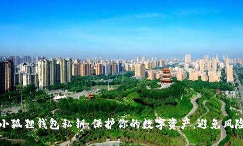 揭秘小狐狸钱包私钥：保护你的数字资产，避免风险陷阱